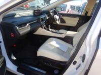Image3